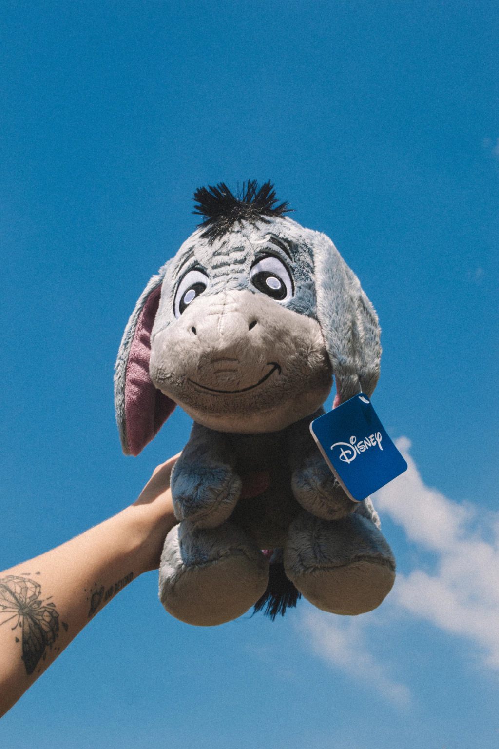 Pelúcia IÓ - Disney
