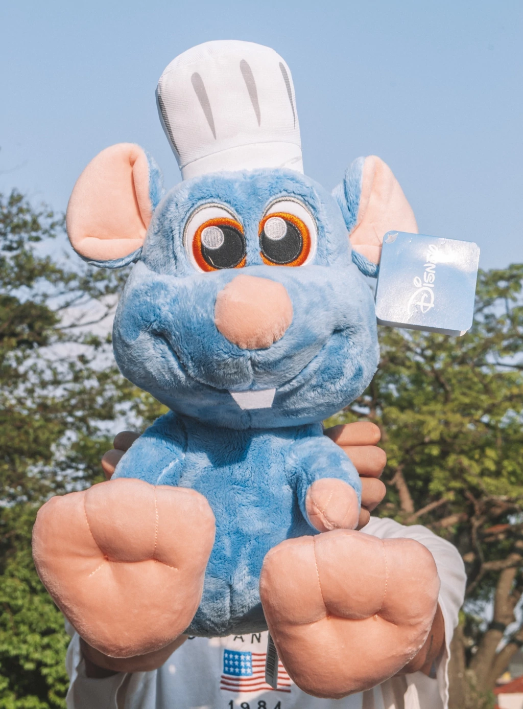 Pelúcia Remy Chef - Disney