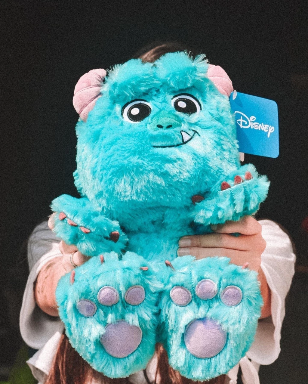 Pelúcia Sulley Baby - Monstros S.A.